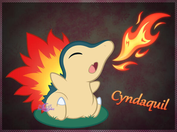 Pokemon Project (Do not use without permission)